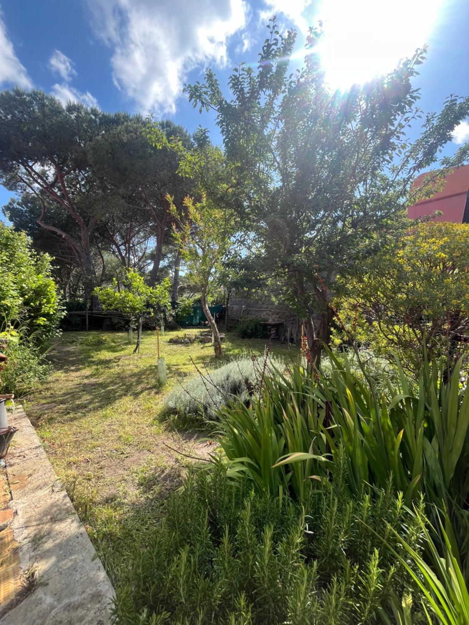 Casa Vista Castello Villa Capraia Luaran gambar